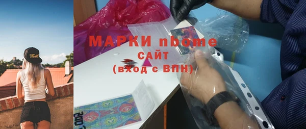прущие грибы Переславль-Залесский