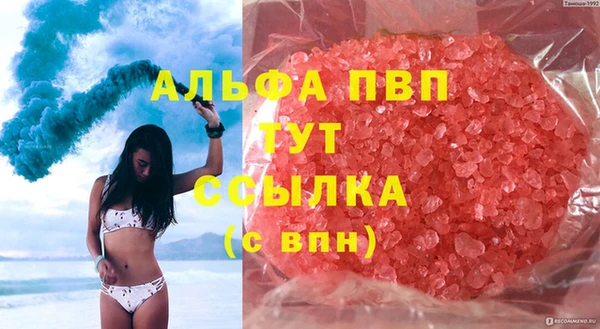 прущие грибы Переславль-Залесский