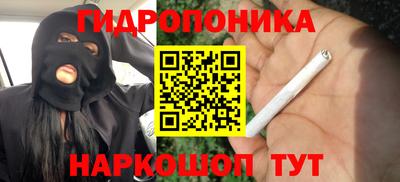 ECSTASY Ачхой-Мартан