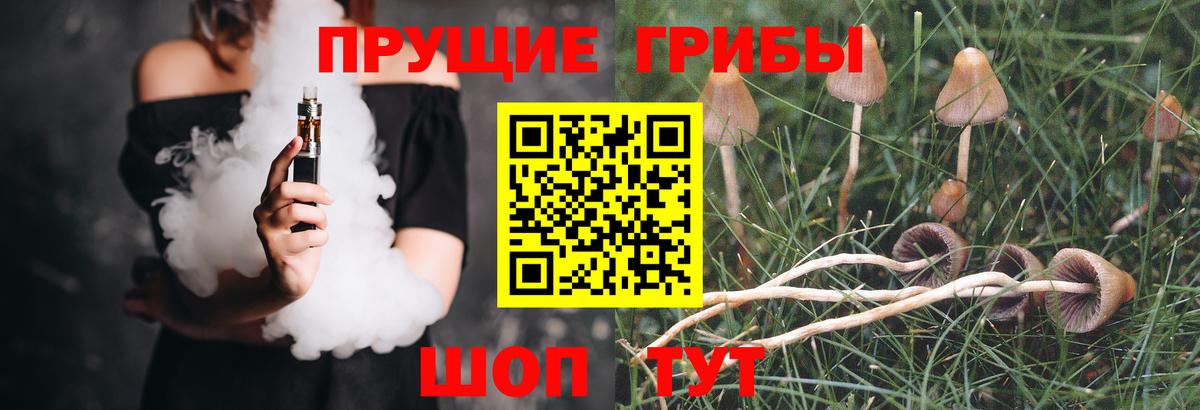 Псилоцибиновые грибы ЛСД  Вход с VPN  Усть-Лабинск 